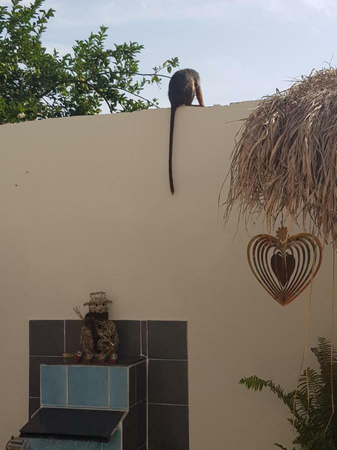 Mandinka Lodge Kololi Eksteriør bilde